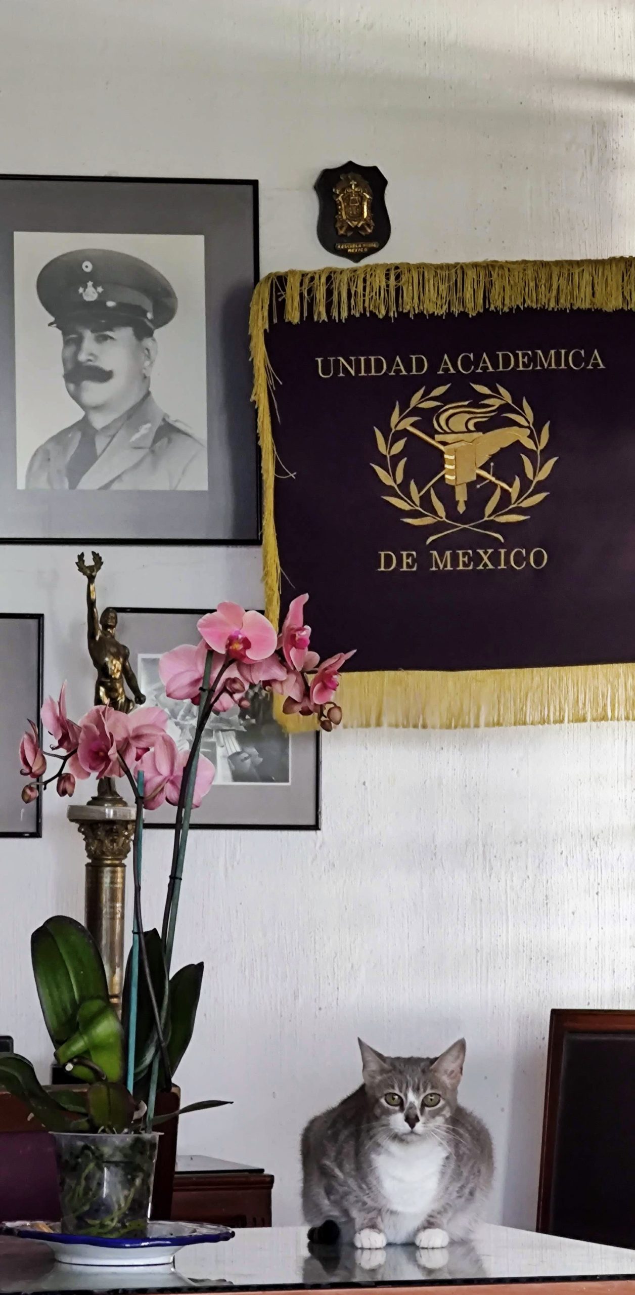 21. Instalaciones
