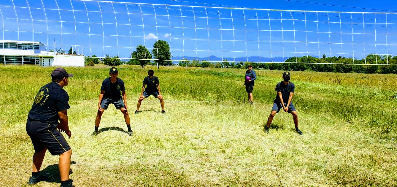 Voleibol